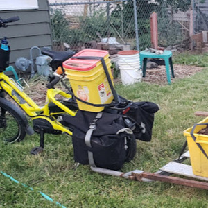 2020 Tern HSD Yellow or Gold