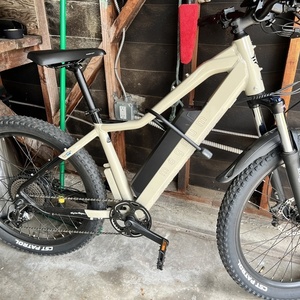 2022 Magnum Bikes Peak T7 Brown and Black
