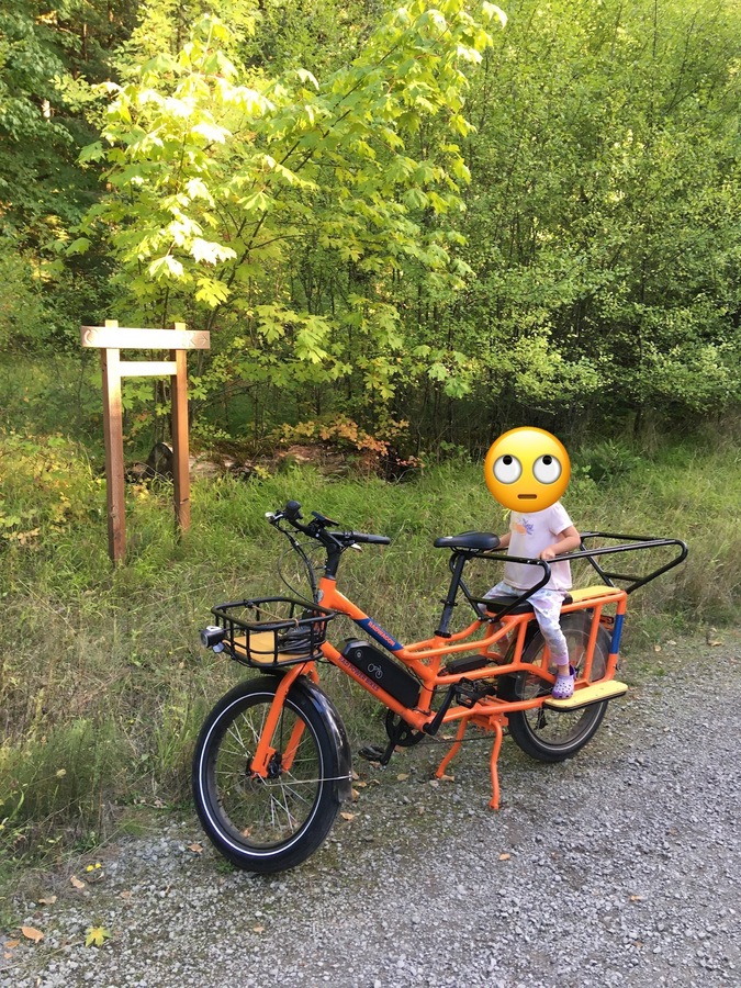 Cargo Bike Rear photo