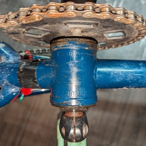 GT Bicycles Animal Blue