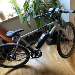 2022 Rad Power Bikes Radmission Silver, gray or bare metal