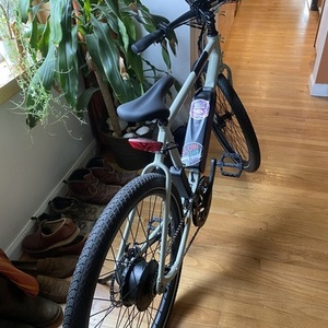 2022 Rad Power Bikes Radmission Silver, gray or bare metal