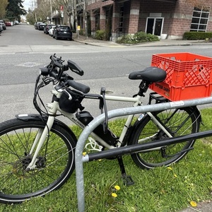 2022 Rad Power Bikes Radmission Silver, gray or bare metal