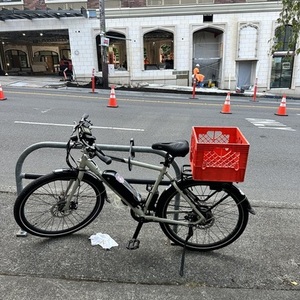 2022 Rad Power Bikes Radmission Silver, gray or bare metal