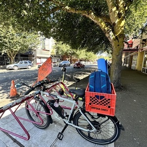 2022 Rad Power Bikes Radmission Silver, gray or bare metal