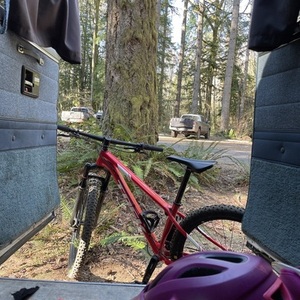 2019 Trek Procaliber 6 S Red