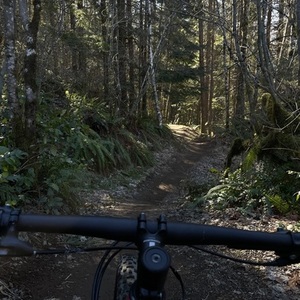 2019 Trek Procaliber 6 S Red