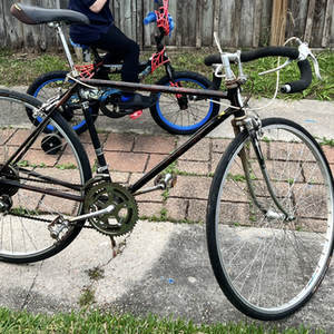 1980 Schwinn Continental Black