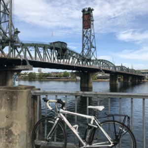 Trek 1.2 WSD White, Silver, gray or bare metal, and Pink