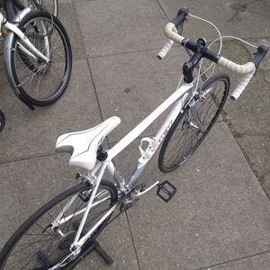 Trek 1.2 WSD White, Silver, gray or bare metal, and Pink