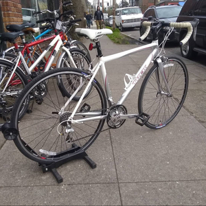 Trek 1.2 WSD White, Silver, gray or bare metal, and Pink