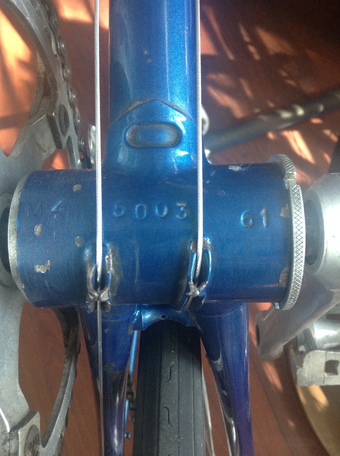 1984 Bottecchia Campione del Mondo