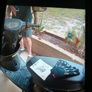 2023 Tao Motors Pony Tao 49CC Scooter Black