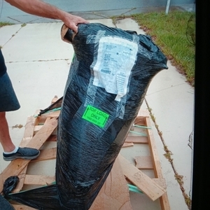 2023 Tao Motors Pony Tao 49CC Scooter Black