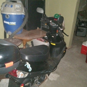 2023 Tao Motors Pony Tao 49CC Scooter Black