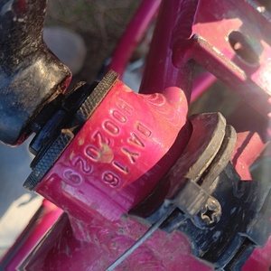 2019 Diamondback Clarity Pink, White, and Yellow or Gold