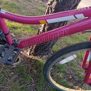 2019 Diamondback Clarity Pink, White, and Yellow or Gold