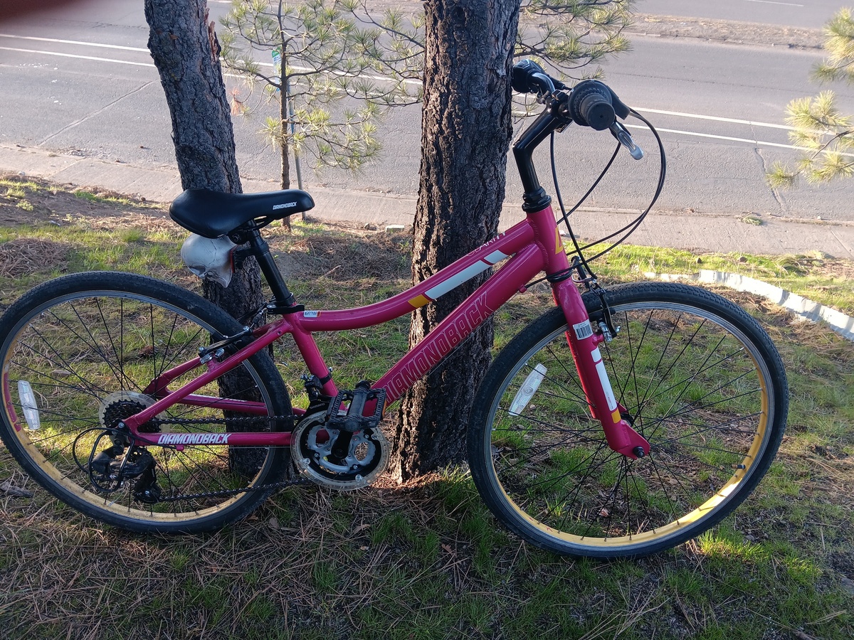 2019 Diamondback Clarity