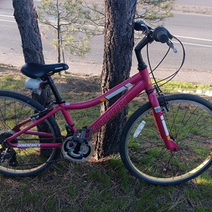 2019 Diamondback Clarity Pink, White, and Yellow or Gold