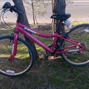 2019 Diamondback Clarity Pink, White, and Yellow or Gold