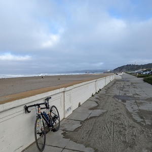 2018 Specialized Allez Elite Blue