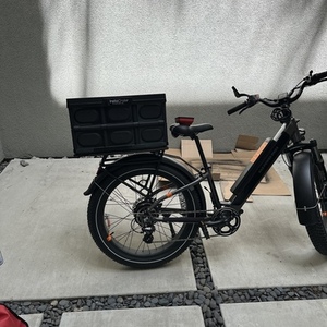 2023 Rad Power Bikes Rad Rover 6 plus Silver, gray or bare metal