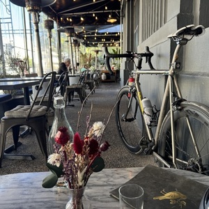 1997 Litespeed Classic Silver, gray or bare metal