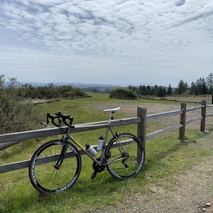 1997 Litespeed Classic Silver, gray or bare metal