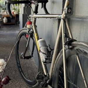 1997 Litespeed Classic Silver, gray or bare metal