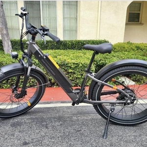 2023 Rad Power Bikes Rad Rover 6 plus Silver, gray or bare metal