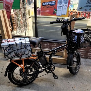 2020 Rad Power Bikes Radmini HT with motor-Black Black