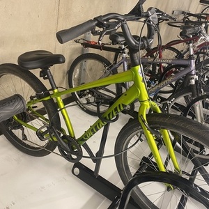 2024 Specialized Green