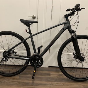 Trek Dual sport 1 Silver, gray or bare metal