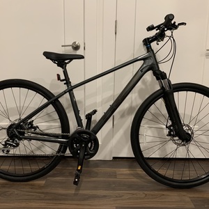 Trek Dual sport 1 Silver, gray or bare metal