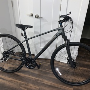 Trek Dual sport 1 Silver, gray or bare metal