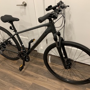 Trek Dual sport 1 Silver, gray or bare metal