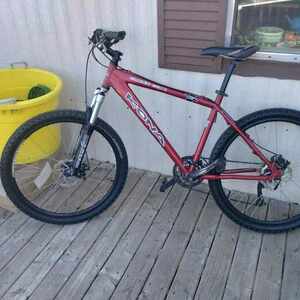 Kona cinder cone Red