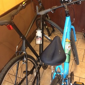 2013 Specialized Sirrus Sport Blue and Blue