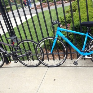 2013 Specialized Sirrus Sport Blue and Blue