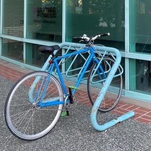 Fairdale Blue