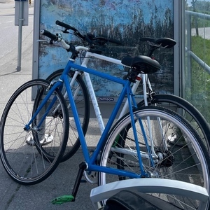 Fairdale Blue