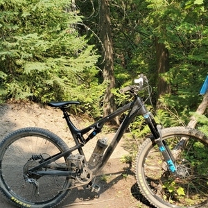 2015 Rocky Mountain Bicycles Thunderbolt Black