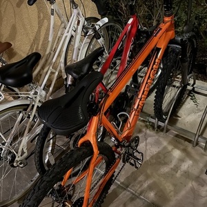 Raleigh Mojave 5.0 Orange