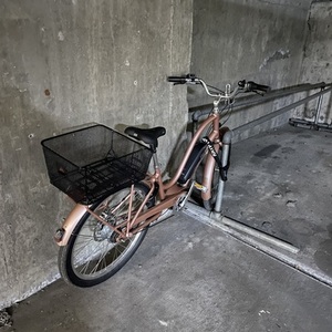 2019 Electra AA0538 Pink