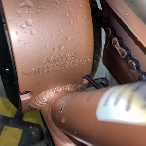 2019 Electra AA0538 Pink