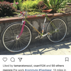 1985 Free Spirit Green