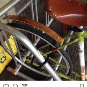 1985 Free Spirit Green