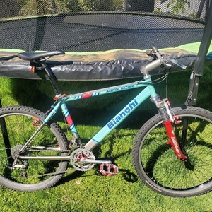 1995 Bianchi Martini Racing