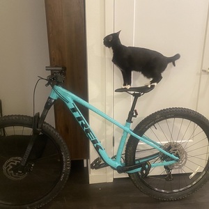 2022 Trek Roscoe 7 S Green and Blue