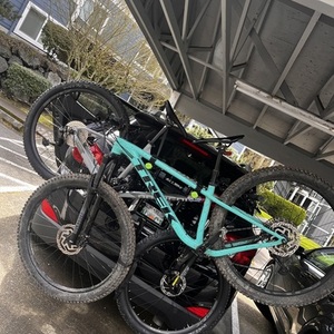 2022 Trek Roscoe 7 S Green and Blue